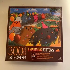 Exploding Kittens Puzzle